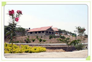 Rest areas in sajjangarh biological park