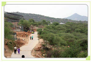 Rest areas in sajjangarh biological park