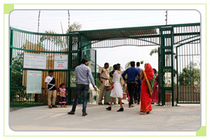 Rest areas in sajjangarh biological park