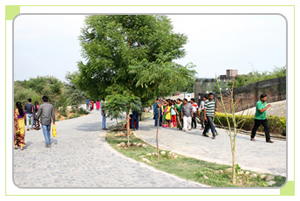 Rest areas in sajjangarh biological park