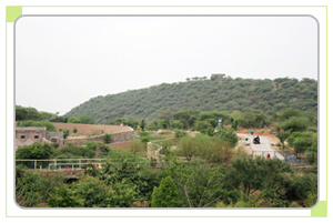 Rest areas in sajjangarh biological park